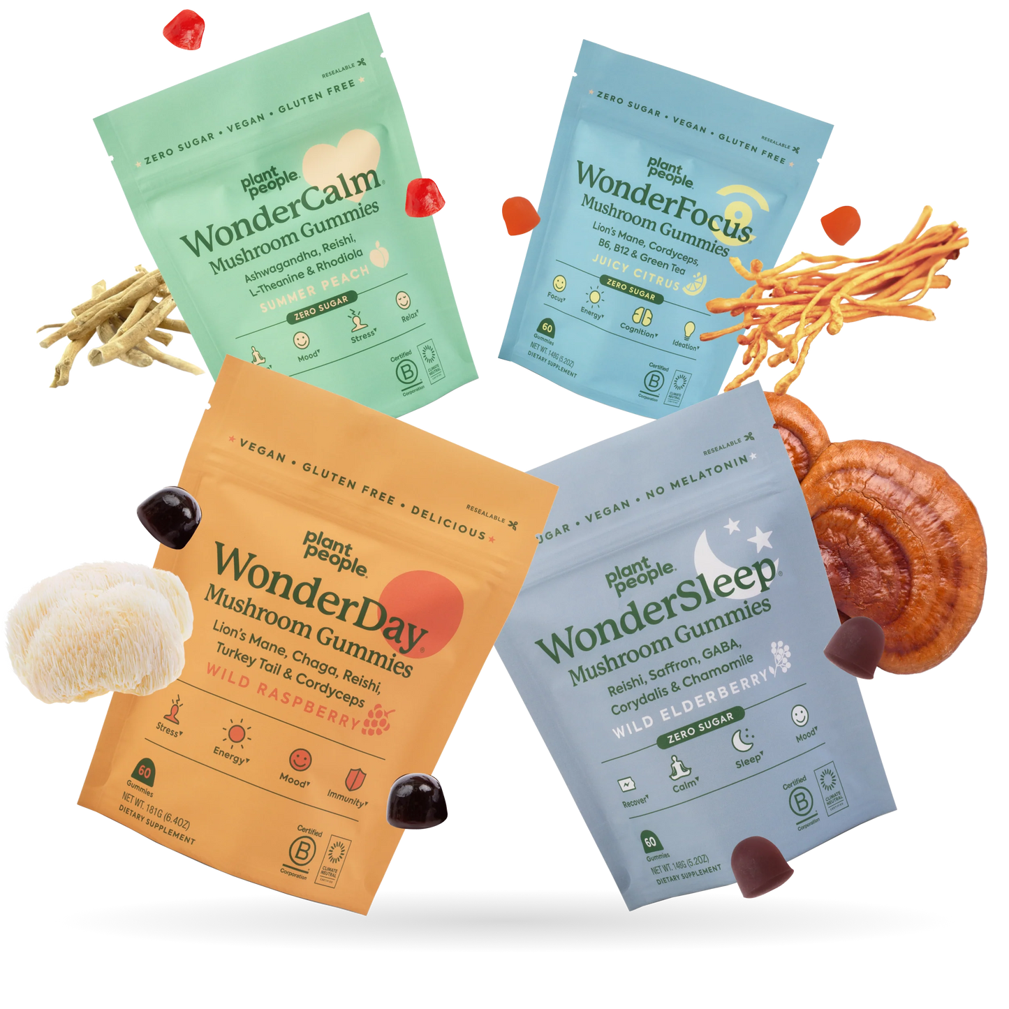 Ashwaganda Variety Bundle