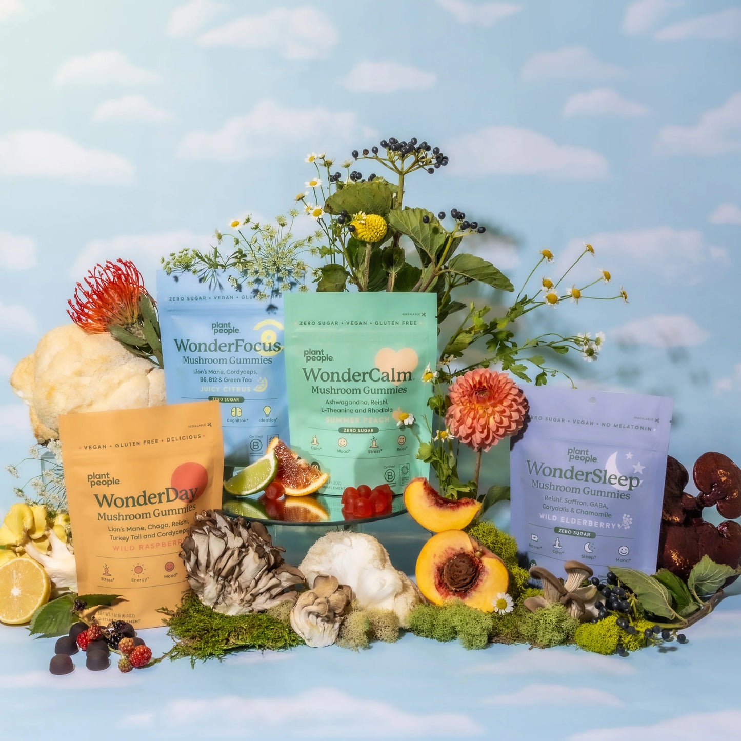 Ashwaganda Variety Bundle