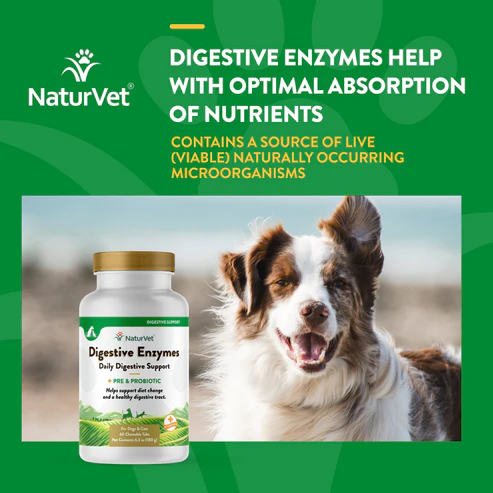 3ryv Digestive Enzymes